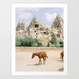 Horses Mountains / Caves Cappadocia Turkey | Fine Art Photographer Print Art Art Print
