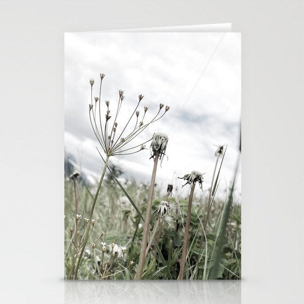 Mountain Wildflowers Stationery Cards