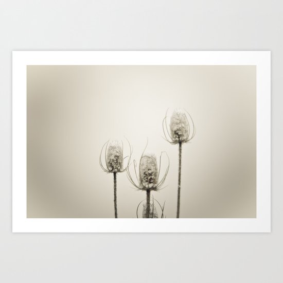 winter Art Print