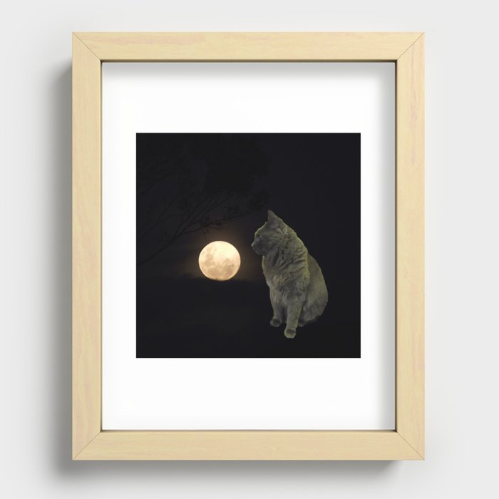 Moon cat Recessed Framed Print