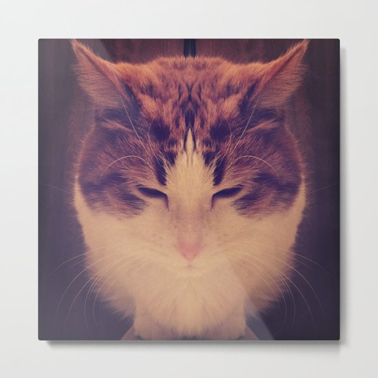Symmetrical Feline Metal Print