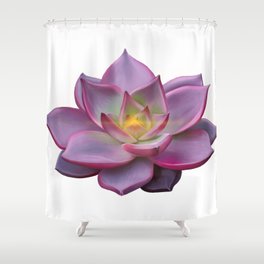 Succulent, a desert flower, a flower? a plant Shower Curtain