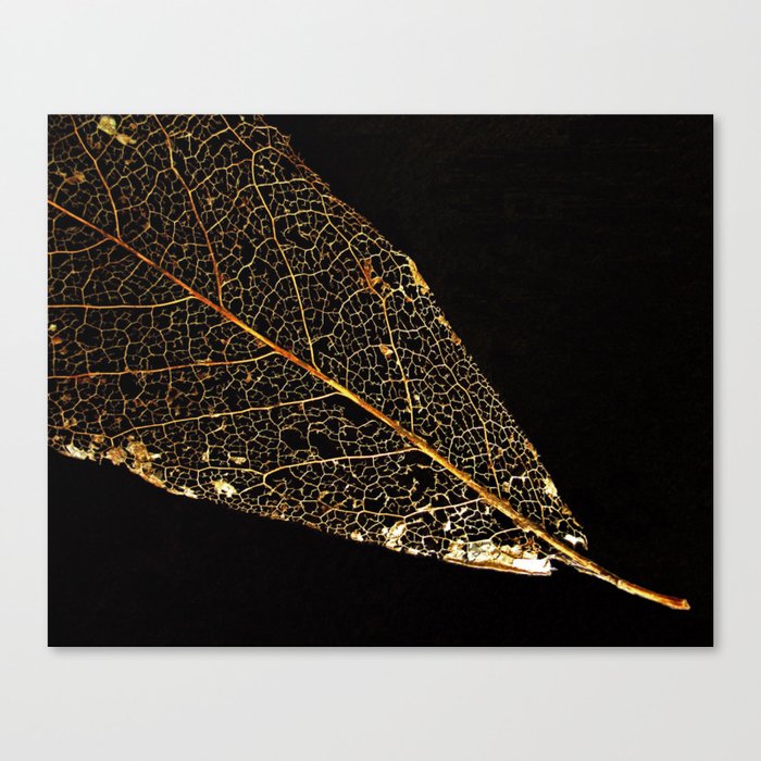 Gold Leaf Canvas Print