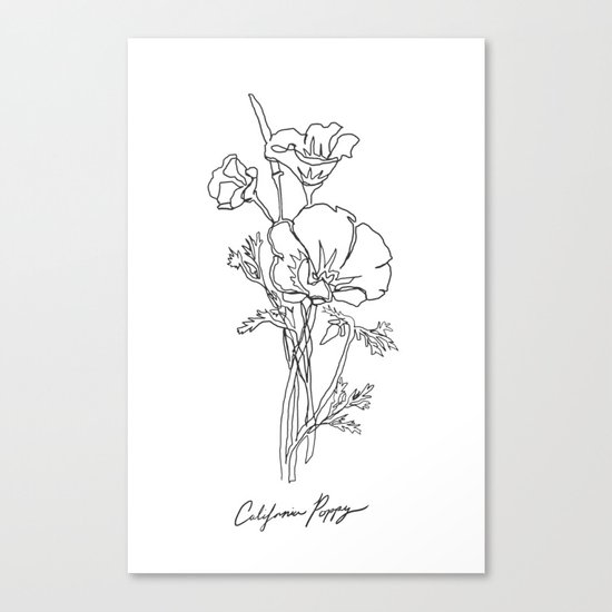 California Poppy Botanical Minimalist Line Art Canvas Print By Jdsinger479 Society6