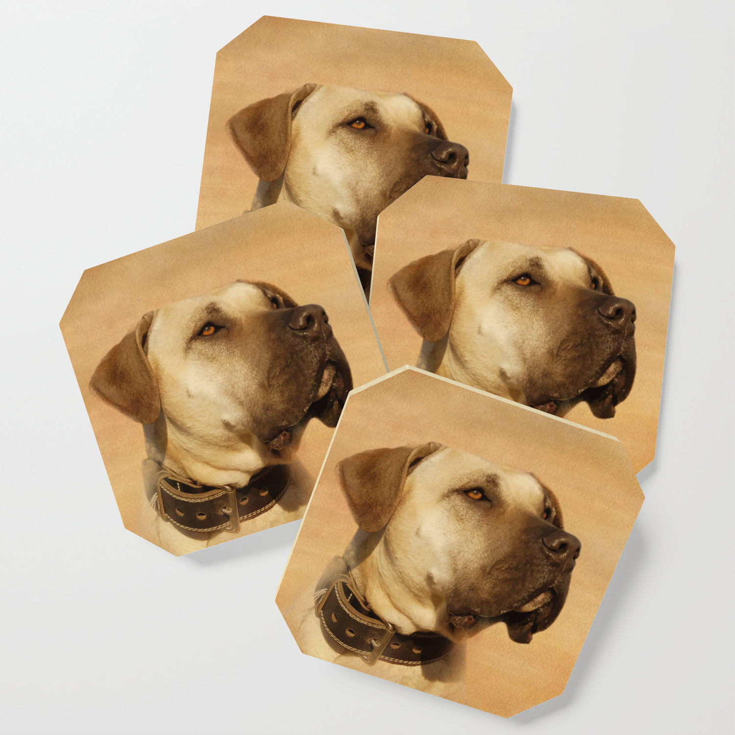 Perro De Presa Canario Dogo Canario Coaster By K9printart Society6