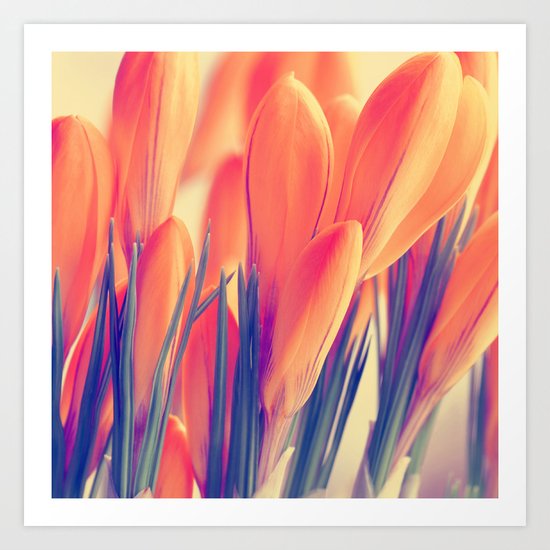 Spring 151 Art Print