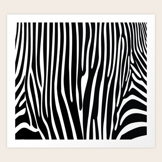 Zebra Art Print