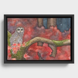 Forest Owl Framed Canvas