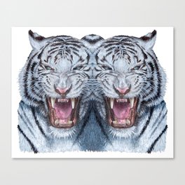 Double White tiger Canvas Print