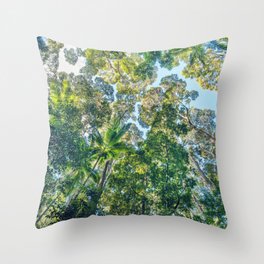 Valley of the Giants Forest, Fraser Island Australia Throw Pillow