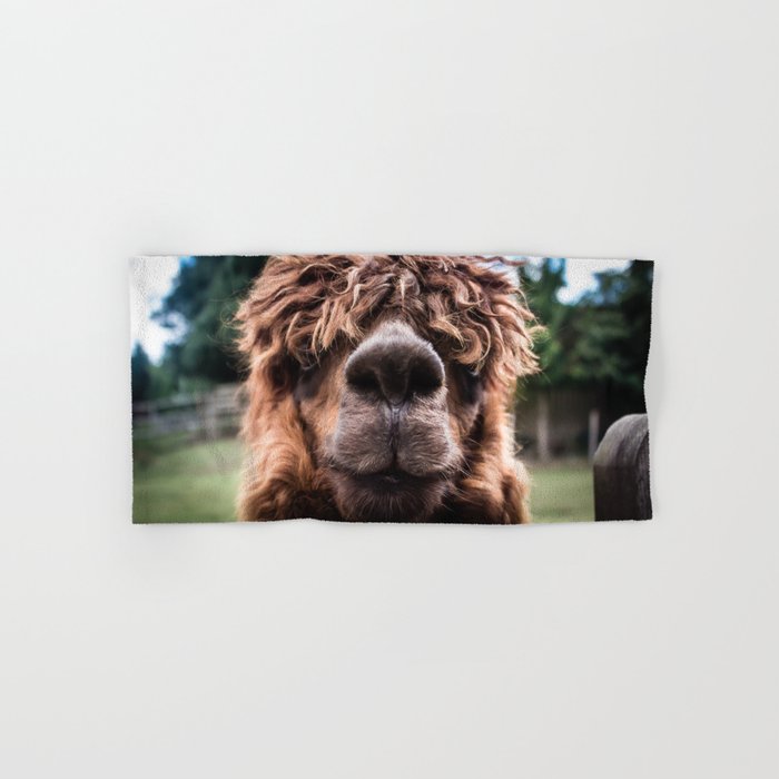 Curious Llama Hand & Bath Towel