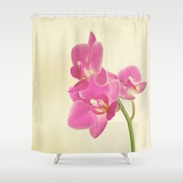 Pink Orchid Shower Curtain