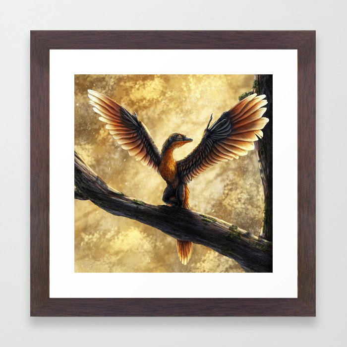archaeopteryx lithographica