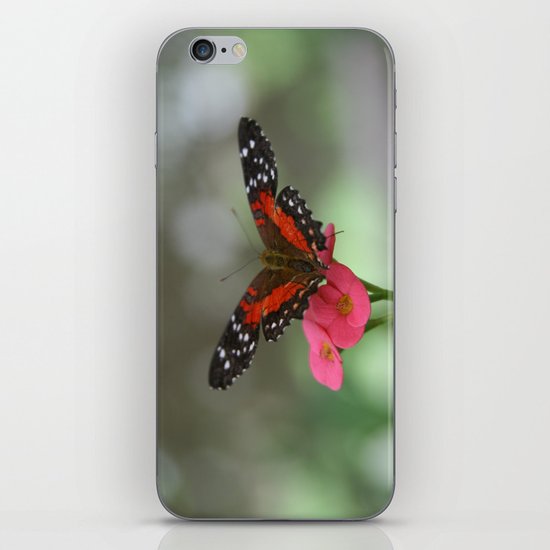 Butterfly House 2 iPhone & iPod Skin
