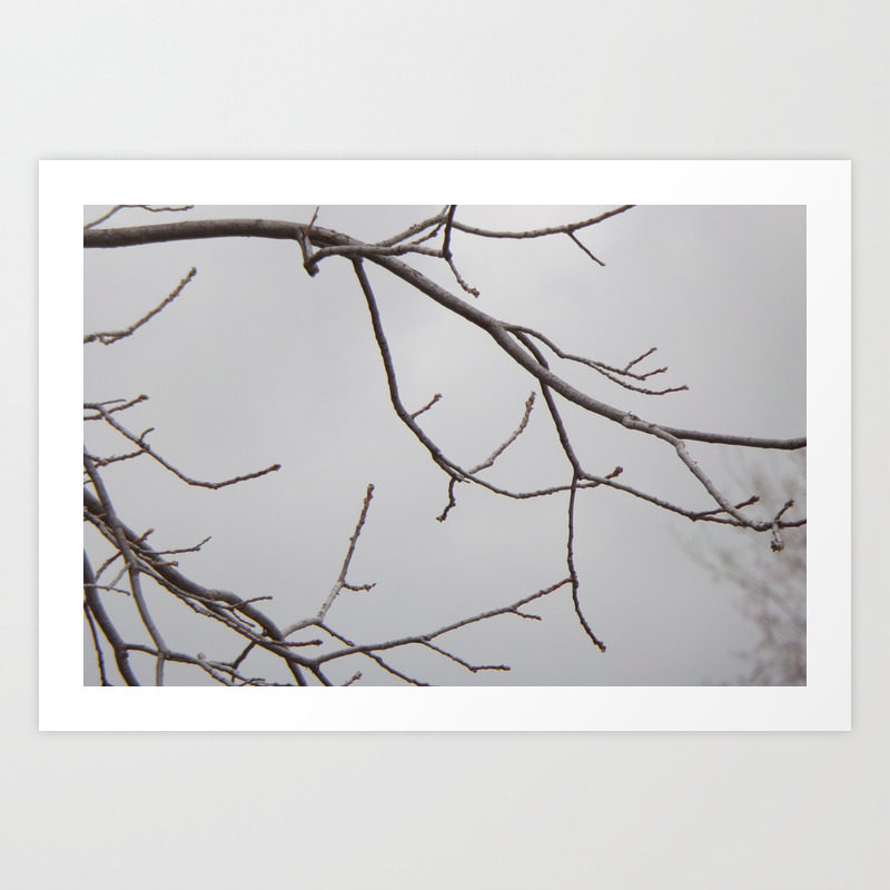 Cold Grey Sky Behind Leafless Tree Branches Art Print By Fas925 Society6
