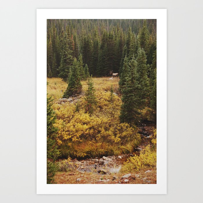 Rocky Mountain Creek Elk Art Print