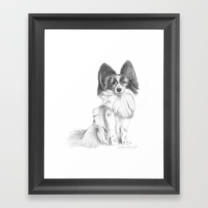 Papillion (Butterfly Dog) Framed Art Print
