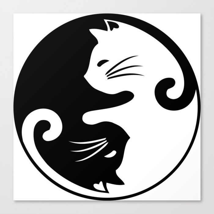 Yin Yang Cats Canvas Print By Imagenaction Society6