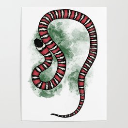King Snake Poster