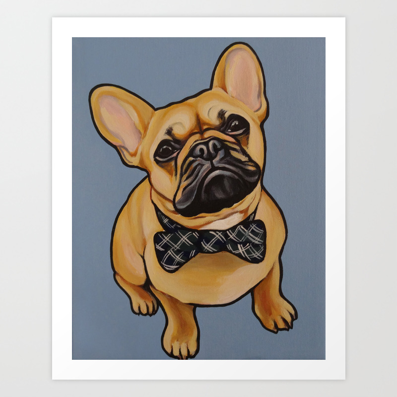 Wallpaper Portrait Of A Fawn French Bulldog With A Bow Tie On Blue HD