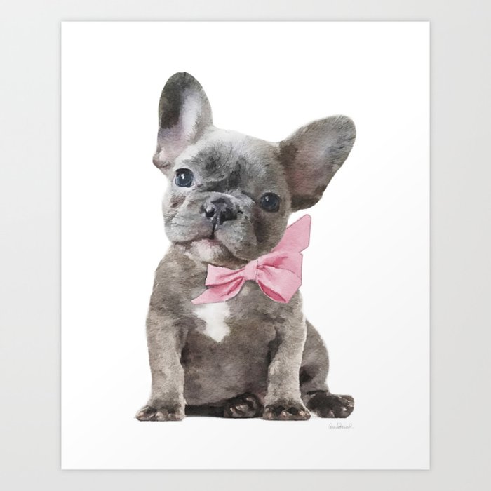 Bulldog shop with bow
