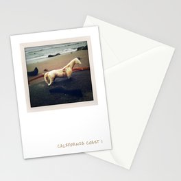 California Coast I -- Beach find caught in a photo! Perfect dreamy seaside memory for your wall :-) Stationery Cards