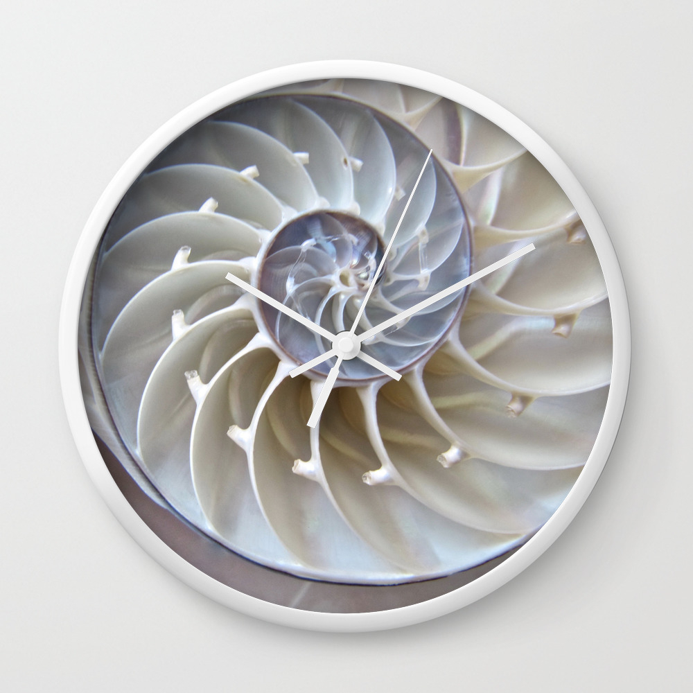 Nautilus Shell Wall Clock By Mingtaphotography Society6