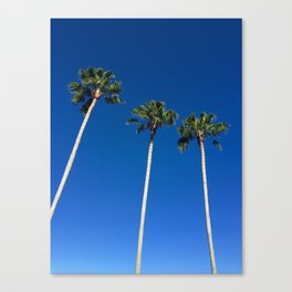 miami beach palm trees and blue sky Canvas Print
