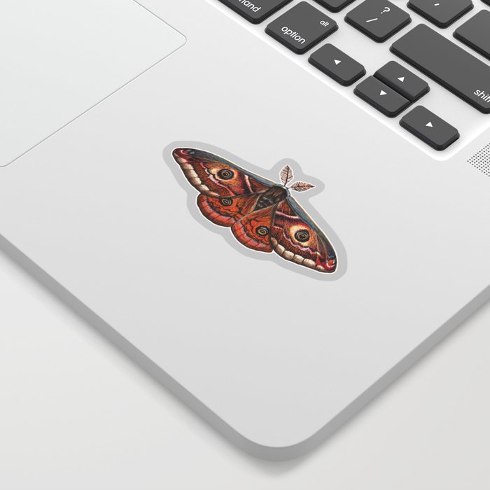 Small Emperor Moth (Saturnia pavonia) Sticker
