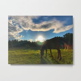 Relaxation Metal Print | Color, Photo, Happieness, Sunset, Equine, Horse, Hdr, Eveningsun, Mule, Landscape 