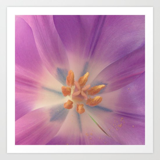 Purple Flower Art Print