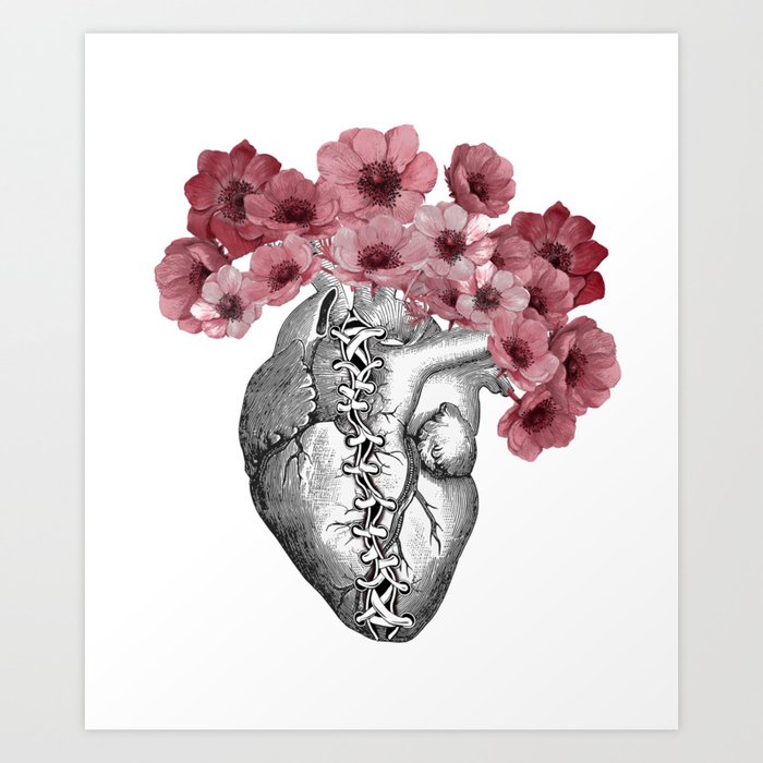 Anatomical Heart Painting Red Canvas Print by Jessica Lisska Artwork