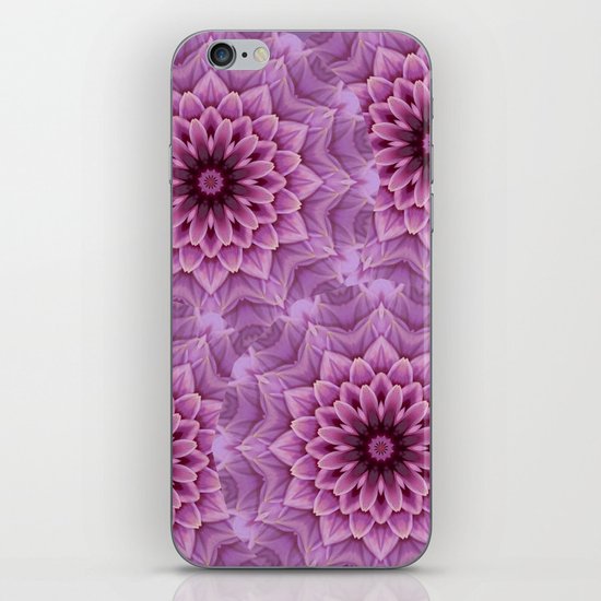Pink Petals iPhone & iPod Skin