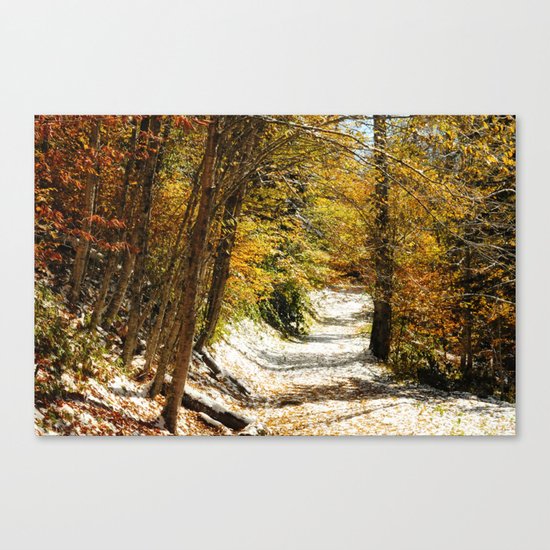 The First Snow Canvas Print
