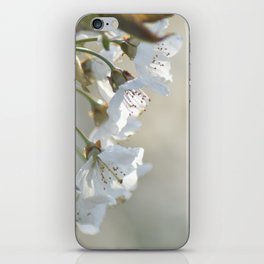 White Cherry Blossom  iPhone Skin
