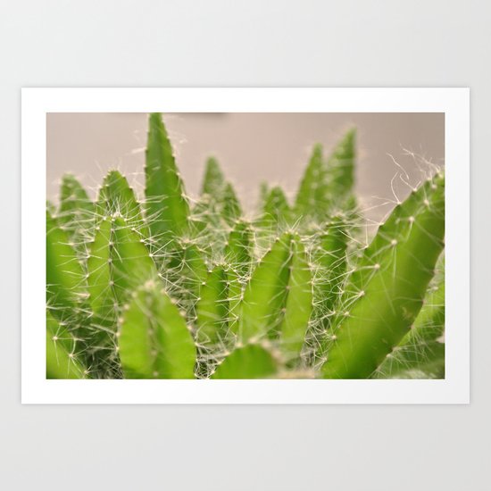 Prickly Art Print