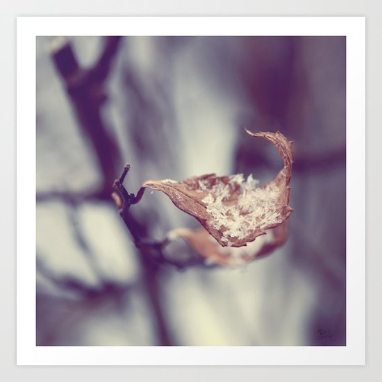 A Delicate Balance Art Print