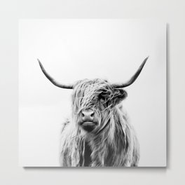 portrait of a highland cow Metal Print