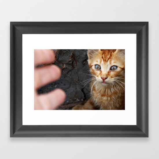cat Framed Art Print