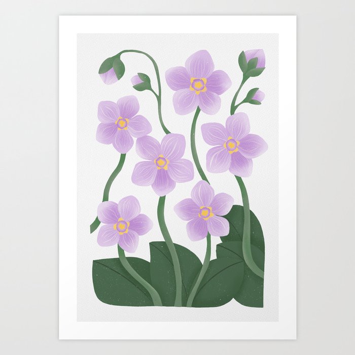 Lilac Ramonda Flower Art Print