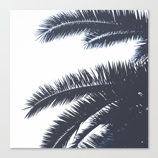 Palm Tree leaves abstract III Canvas Print