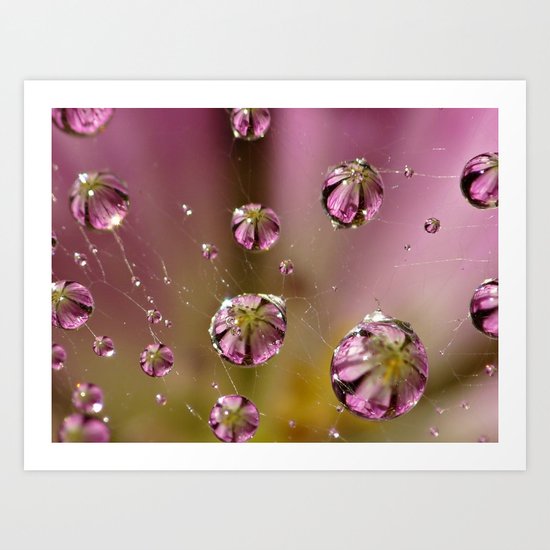 who knew a web could hold such treasures? Art Print