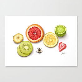 Fruit slices Canvas Print