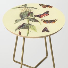 Vintage Scientific Wood and Scarlet Tiger Moths Illustration Print Side Table