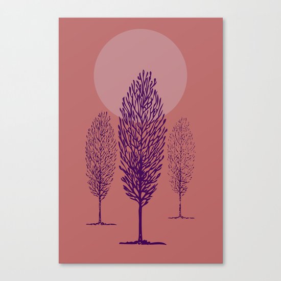 rosa di sera Canvas Print