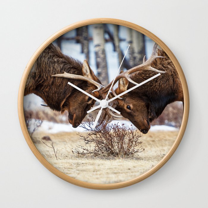 Elk In Rut Colorado Wildlife Rocky National Park Wall Clock