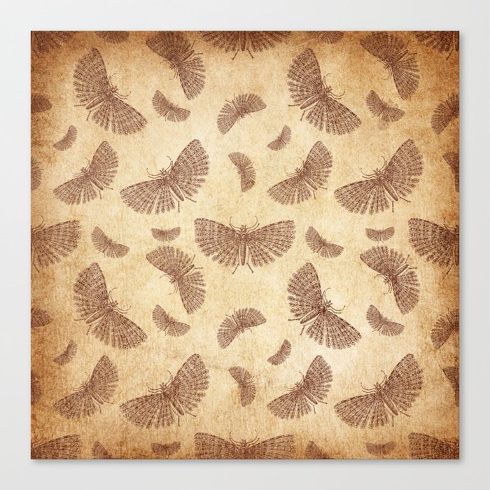 vintage pattern / insect pattern / butterfly / wings Canvas Print