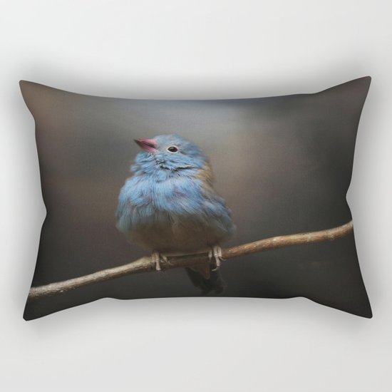 Believe! Rectangular Pillow