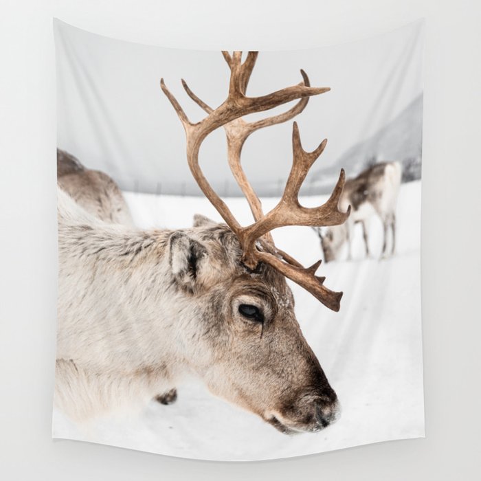 Reindeer with Antlers In Snow | Norway Tromsø Winter Art Print | Arctic Animal Travel Photography Wall Tapestry