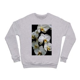 White Moth Orchids Crewneck Sweatshirt